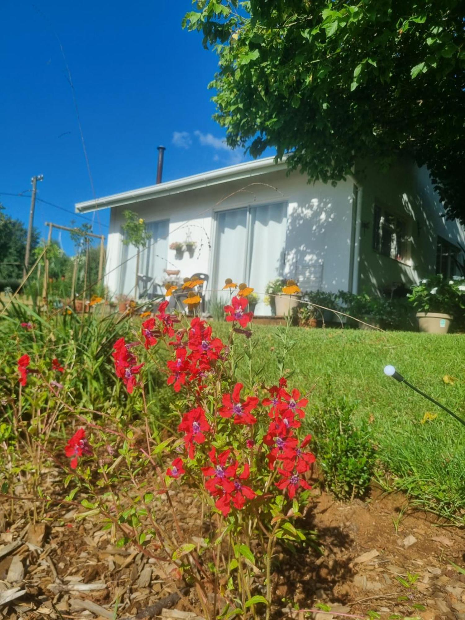 The Cottage On The Corner Himeville Exterior foto